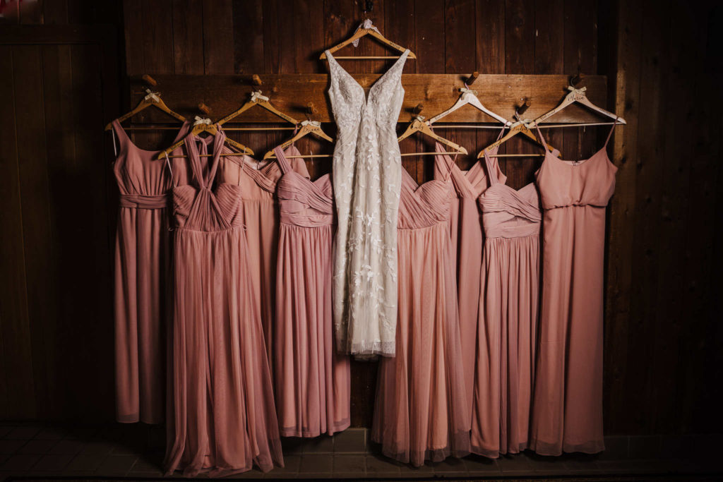 A BHLDN wedding dress surrounded by muted pink Birdy Grey bridesmaid dresses.