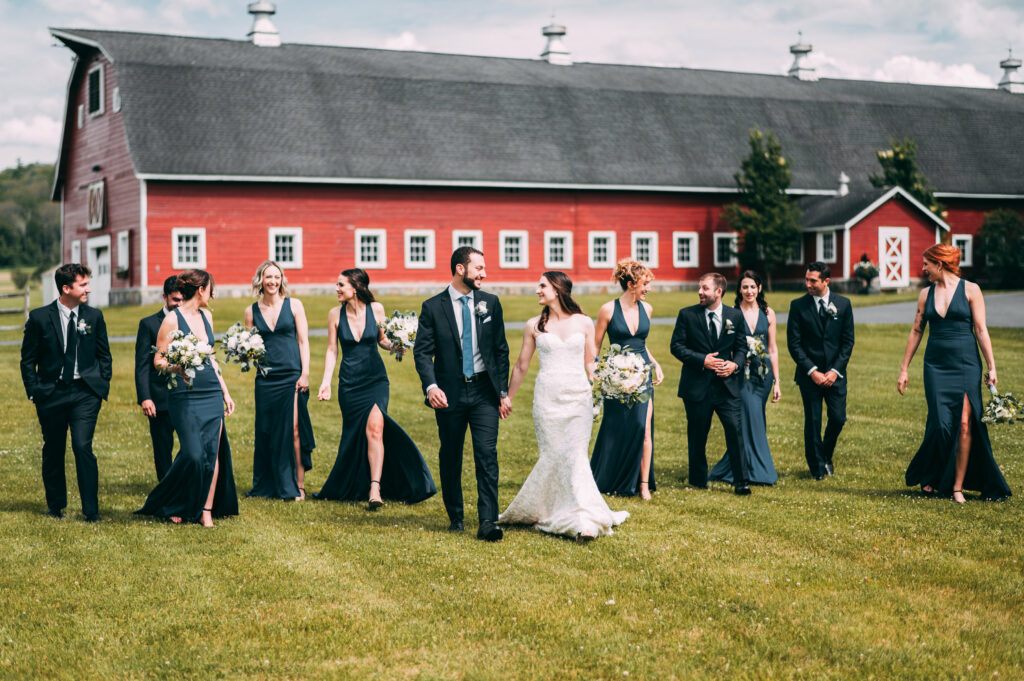 A bride, groom, and wedding party walk in front of a red barn during their Lion Rock Farm wedding.